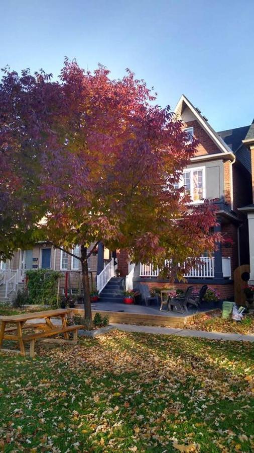 Village At York U Toronto Ngoại thất bức ảnh
